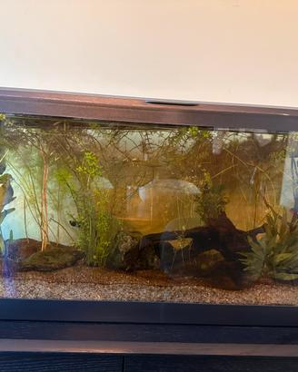 Acquario Zolux Aqua Tana 80 – 80 litri – completo