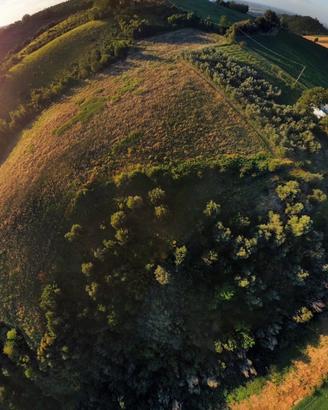 Terreno sito in Castrocaro Terme e Terra del Sole