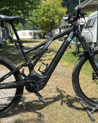 Ebike specialized
