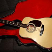 Chitarra Acustica Suzuki Three'S EST 1887 - W300