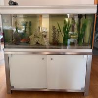 Acquario dei pesci