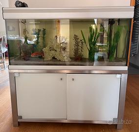 Acquario dei pesci