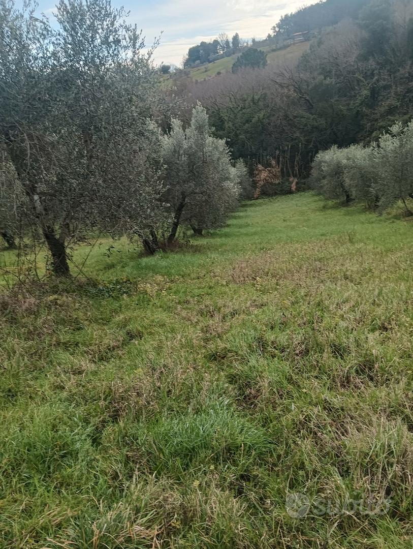 Vendita terreno - Vista 4