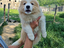 Immagine 26
