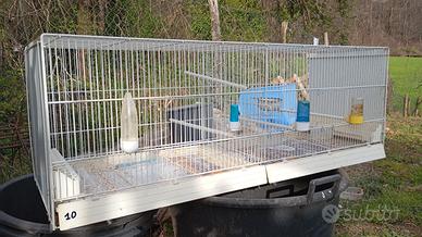 gabbia per uccelli 120 