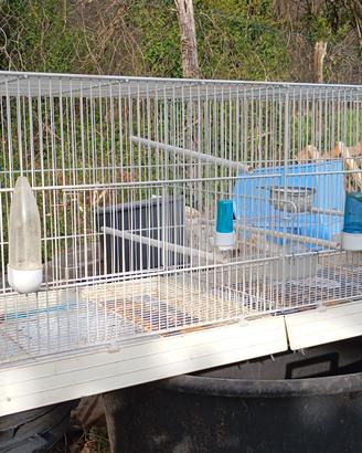 gabbia per uccelli 120 