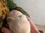Immagine 3
