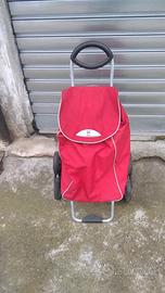 Carrello per la spesa 