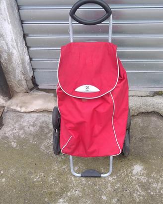 Carrello per la spesa 