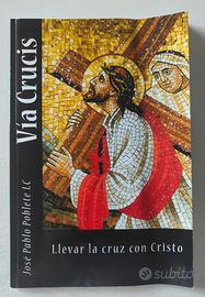 Vía Crucis: Llevar la Cruz con Cristo