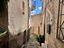 Immagine 9