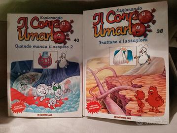 Il corpo umano x bambini