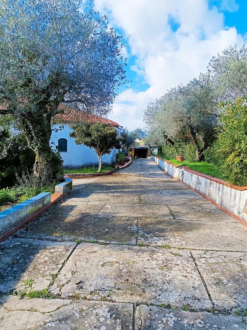 Casa – SS - Altro