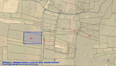 Fondo agricolo localita' ISTIA Nocera Terinese