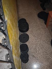 pesi palestra 