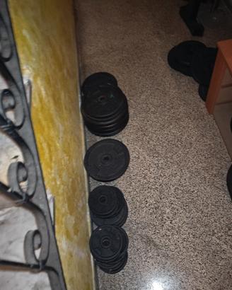 pesi palestra 