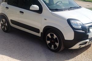 panda cross 