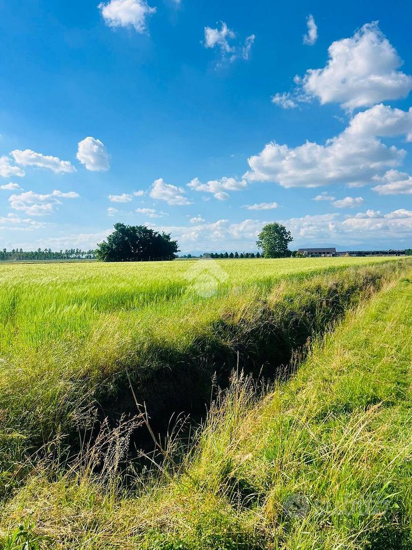 TER. AGRICOLO A CARAVAGGIO - Vista 3