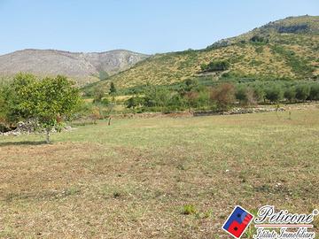 Terreno agricolo - Fondi