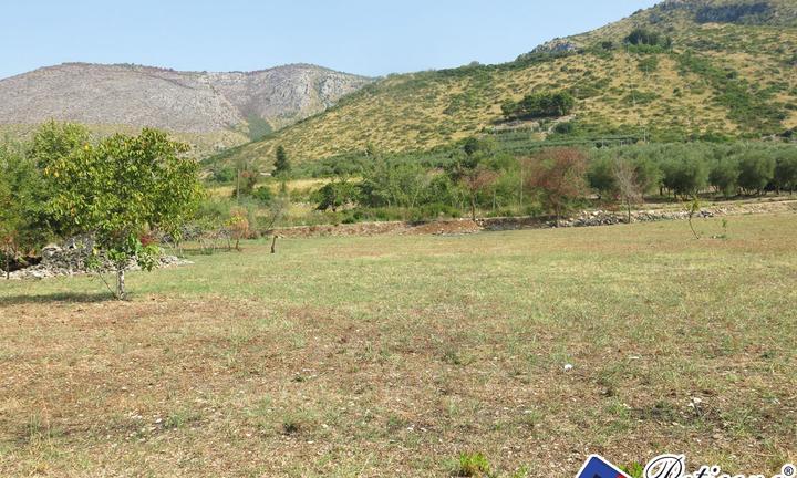 Terreno agricolo - Fondi
