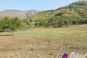 Terreno agricolo - Fondi