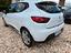 Immagine 7