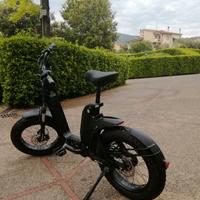 Ebike Issimo Fun Fantic