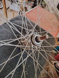 cerchio più batteria fat bike