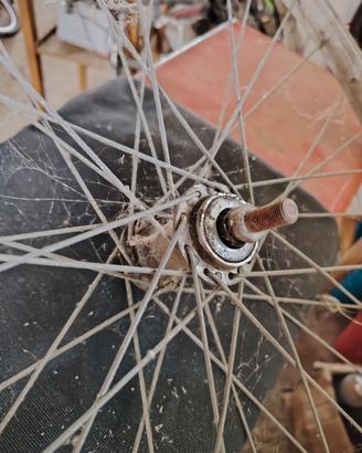 cerchio più batteria fat bike