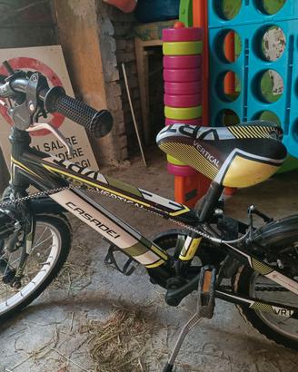 Bicicletta per bambino 5/6 anni