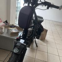 Bicicletta elettrica