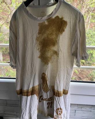 Adidas Lebron James Shirt
