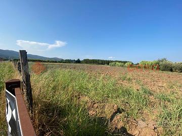 Terreno Agricolo Falciano del Massico