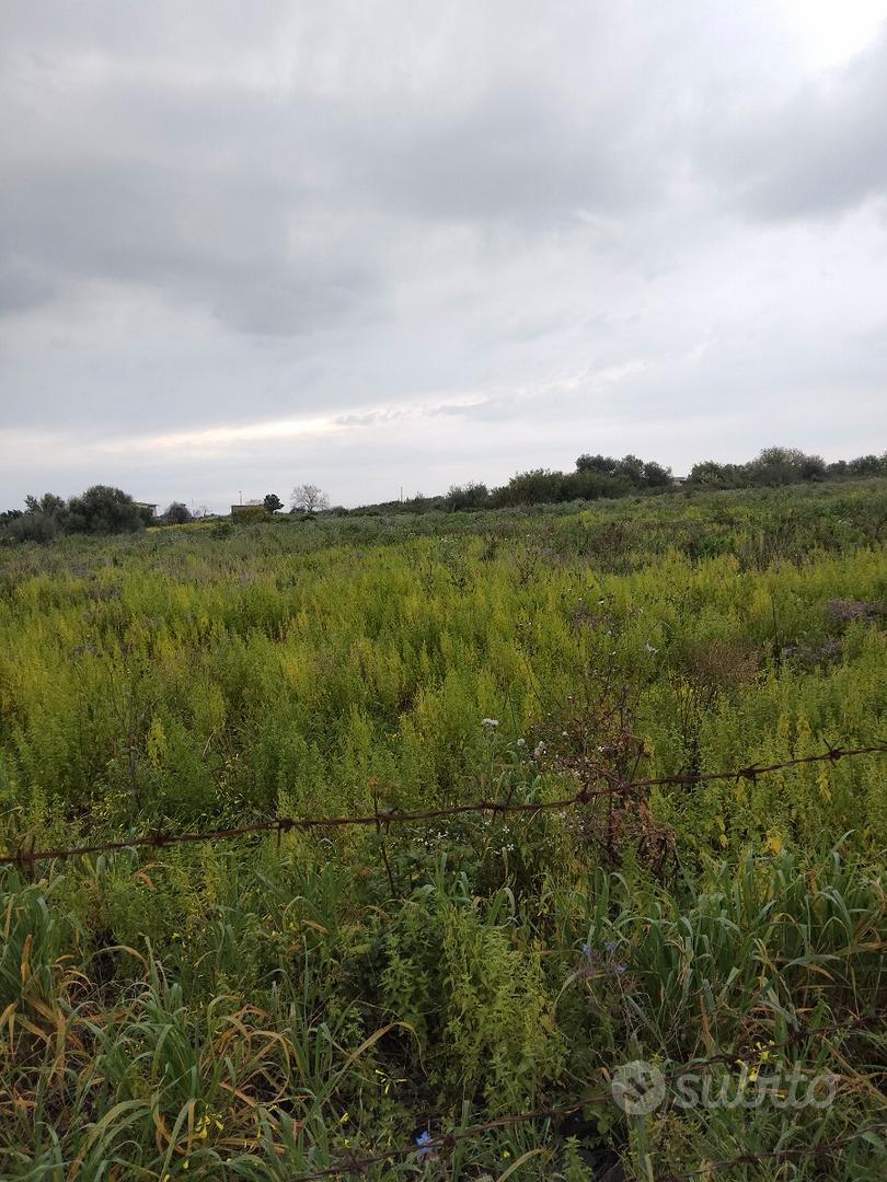 Terreno agricolo edificabile - Vista 2