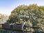 Immagine 26