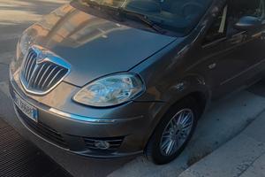 Lancia musa 