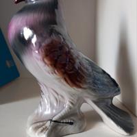 piccione viaggiatore