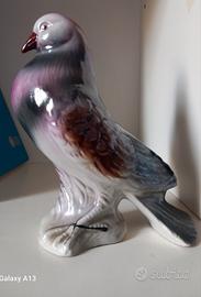 piccione viaggiatore