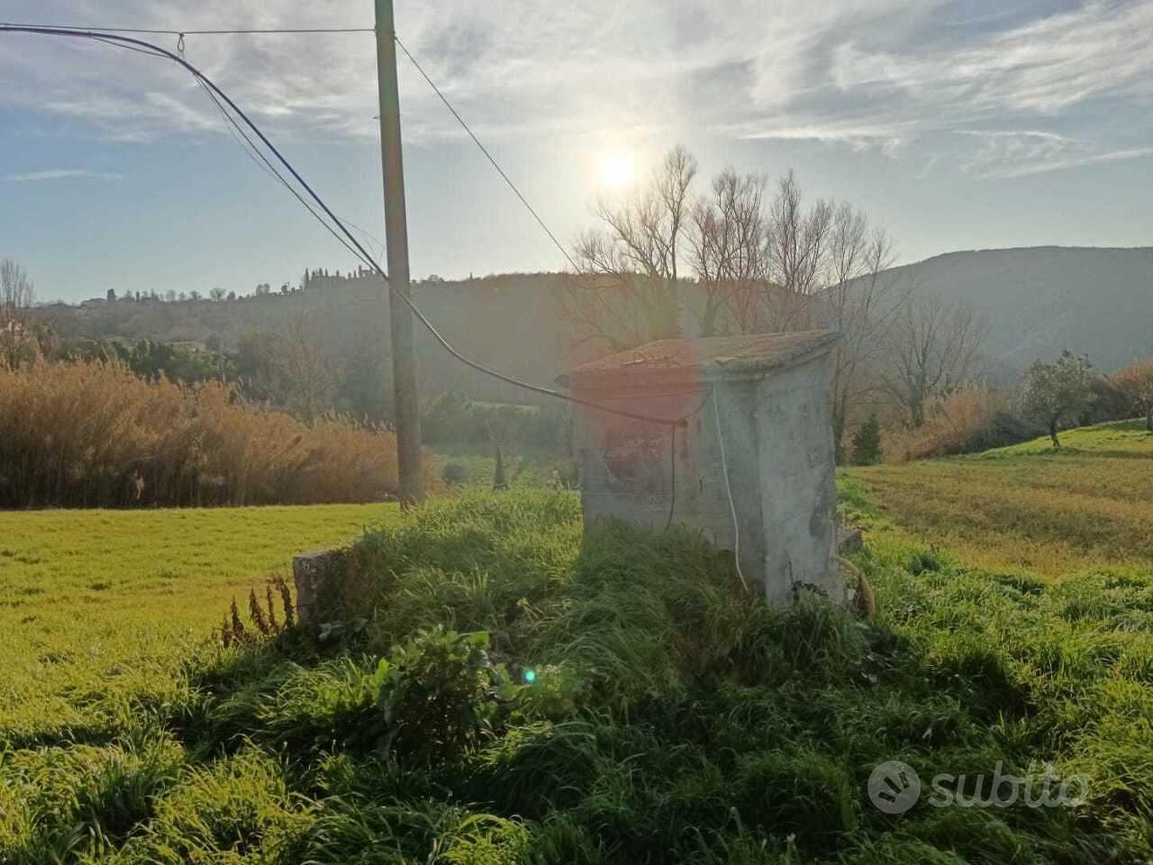 Seminativo a Amelia - Vista 4