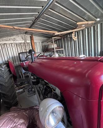 Trattore Massey Ferguson 35