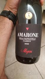 vino pregiato 
