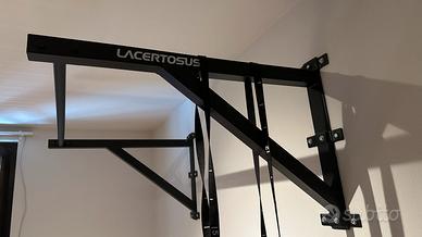 Barra trazioni da muro Lacertosus