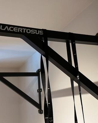 Barra trazioni da muro Lacertosus