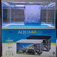 Acquario ciano 60led