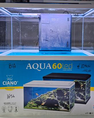 Acquario ciano 60led