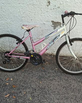 bici 24