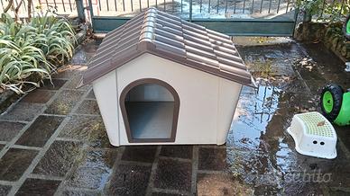 cuccia per cane