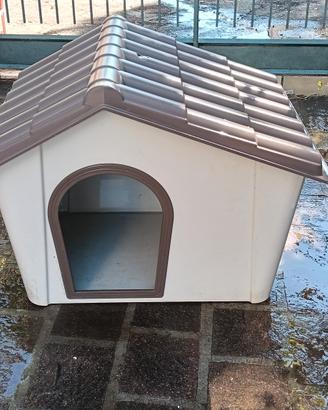 cuccia per cane