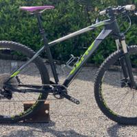 Mtb Olmo 29