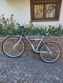 Mountain Bike Rampichino